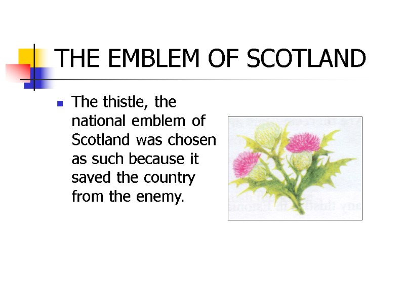 THE EMBLEM OF SCOTLAND The thistle, the national emblem of Scotland was chosen as